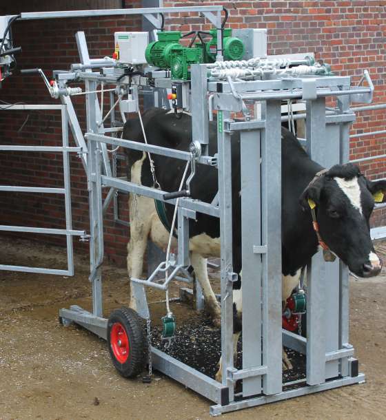 Mobiler Klauenstand